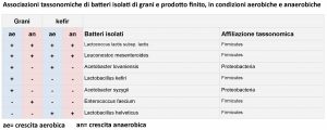 Fermentazione anaerobica