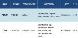Kefir vs Yogurt