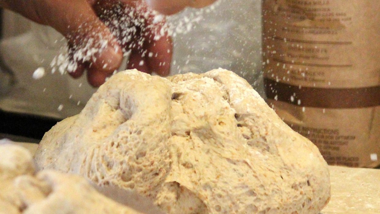 Lievito naturale con kefir di latte