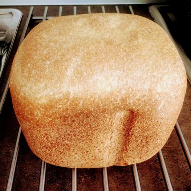 Pane integrale al siero di kefir, ricetta per macchina del pane
