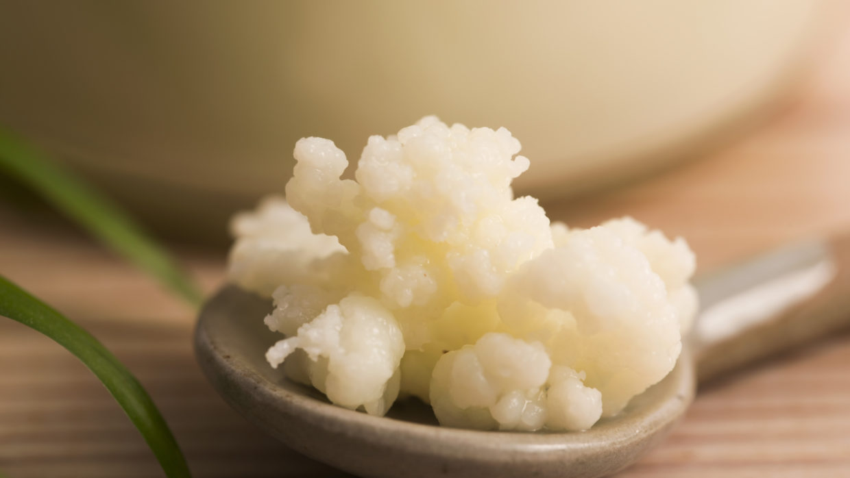Kefir di latte e dieta quotidiana: il parere del biologo nutrizionista